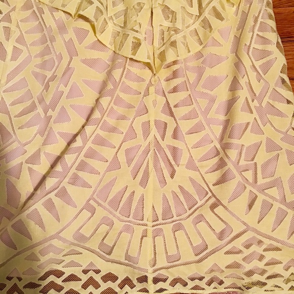 Ruffle Lace Sheath Dress - Picture 3 of 6